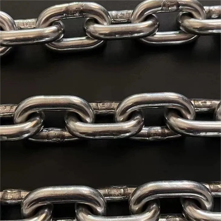 Corrente de aço inoxidável na linha de transporte pendurada para abate de aves